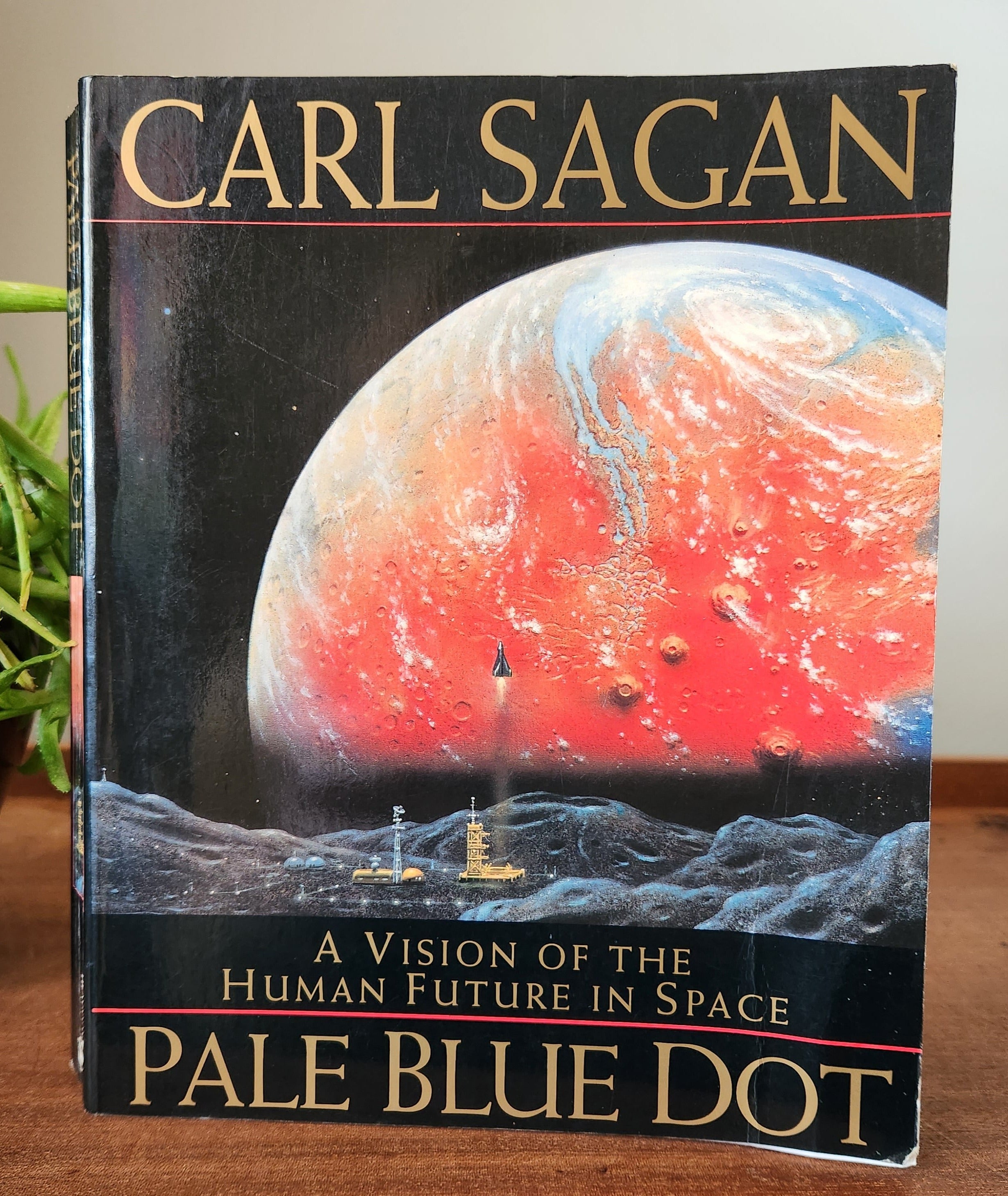 Pale Blue Dot: A Vision of the Human Future in Space