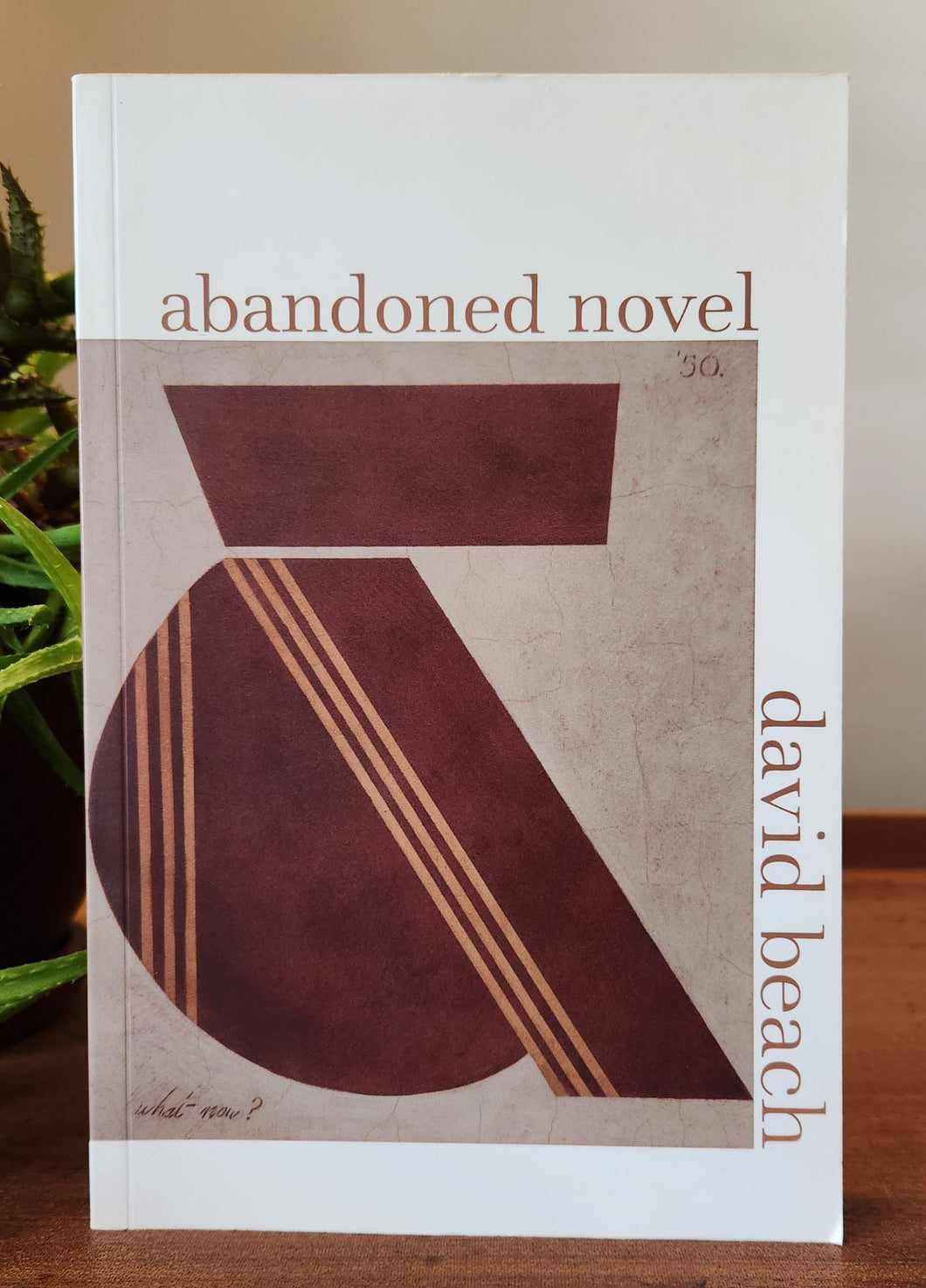 Abandoned Novel by David Beach
