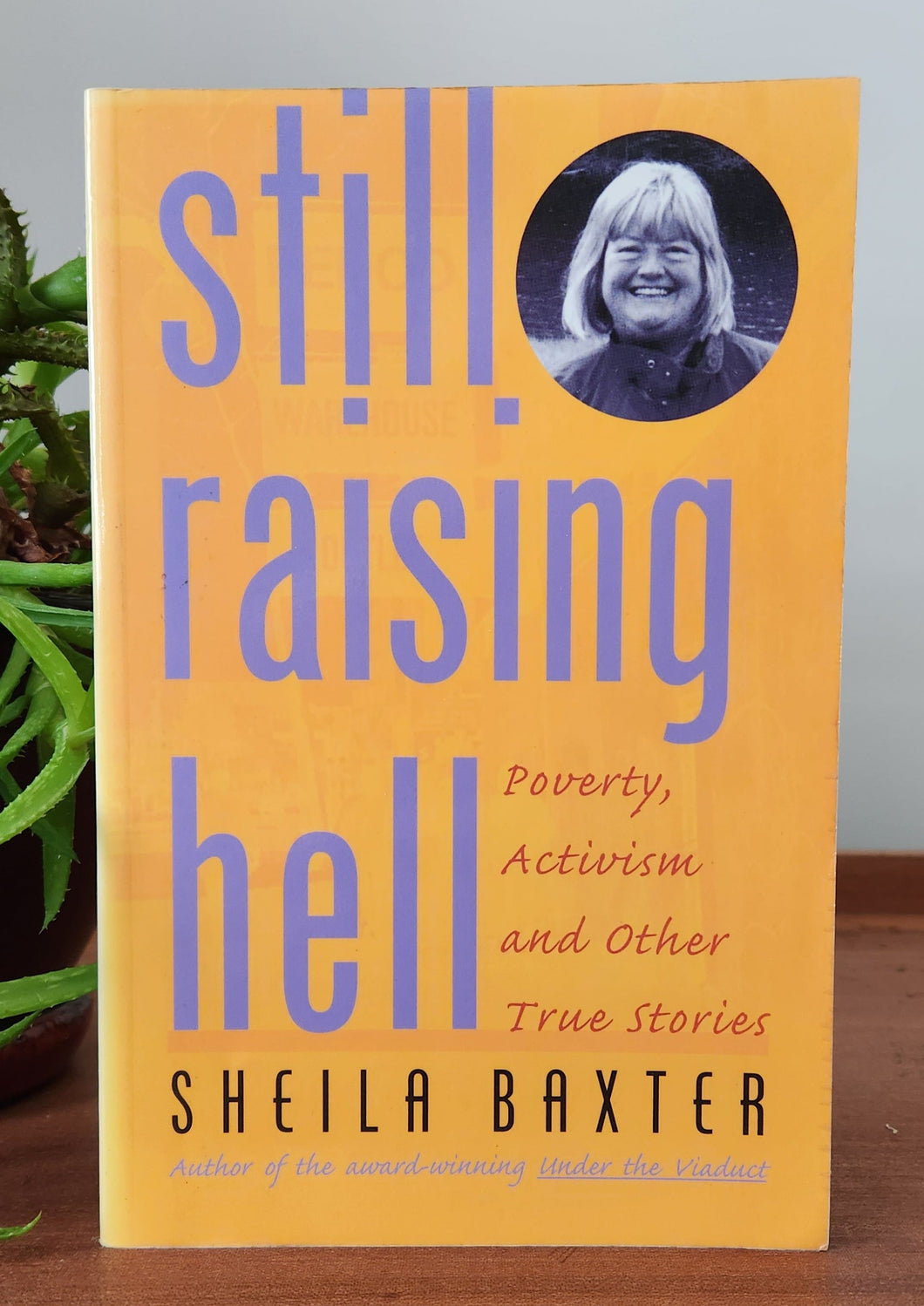 Still Raising Hell: Poverty, Activism and Community Change by Sheila Baxter