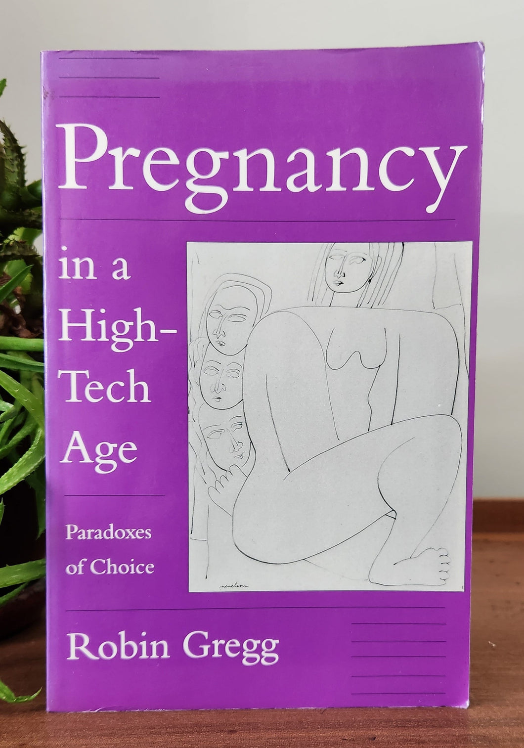 Pregnancy in a High-Tech Age: Paradoxes of Choice by Robin Gregg