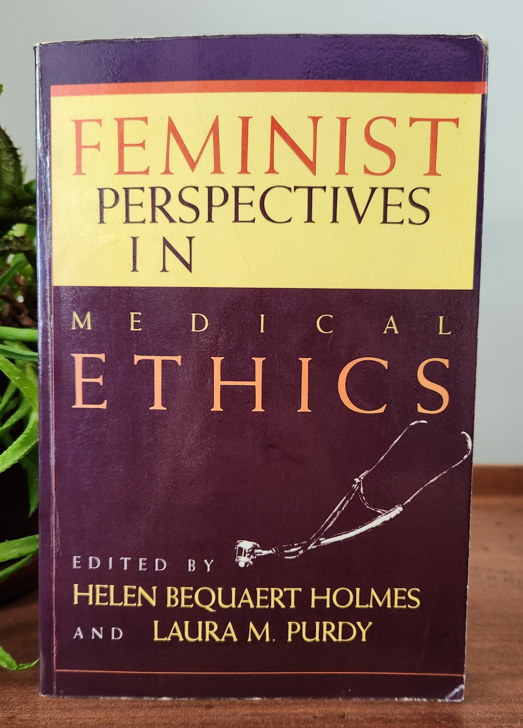 Feminist Perspectives in Medical Ethics by Helen B. Holmes (Editor), Laura M. Purdy (Editor), Helen Bequaert Holmes (Editor)