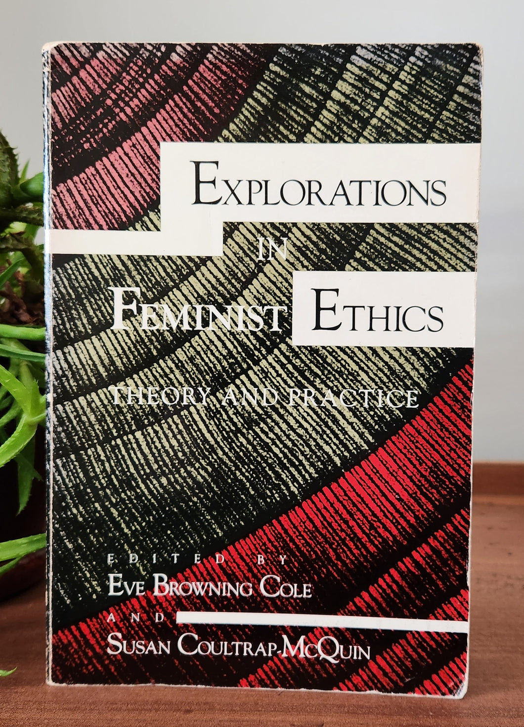 Explorations in Feminist Ethics: Theory and Practice (A Midland Book) by Eve Browning Cole, Susan C. McQuin