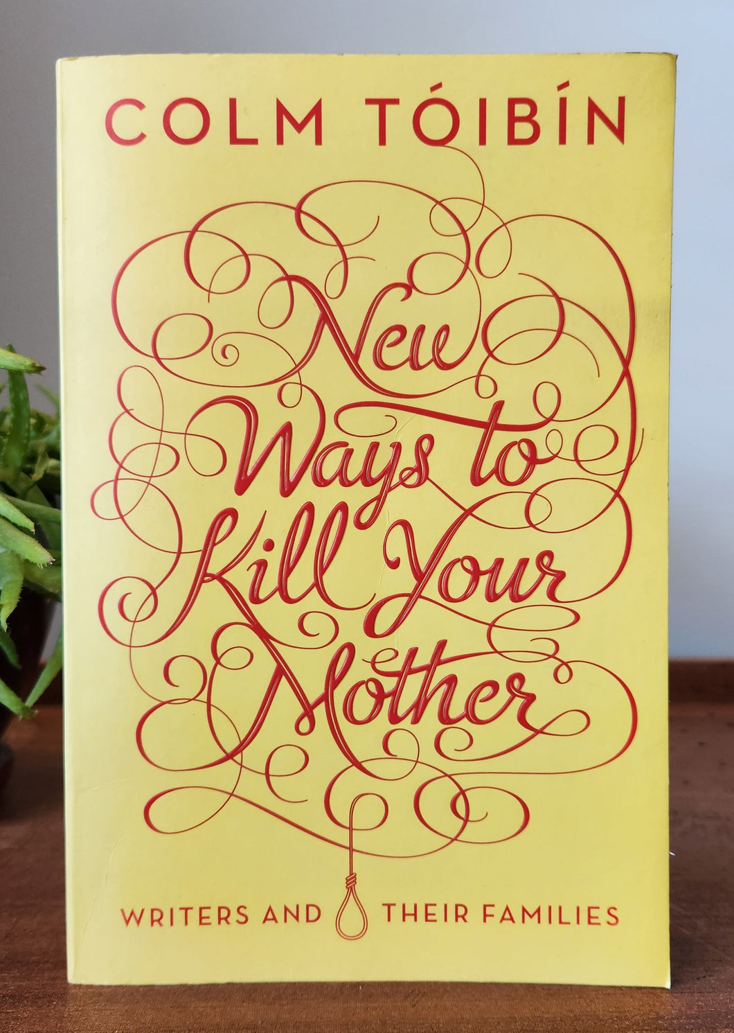 New Ways to Kill Your Mother: Writers and Their Families by Colm Tóibín