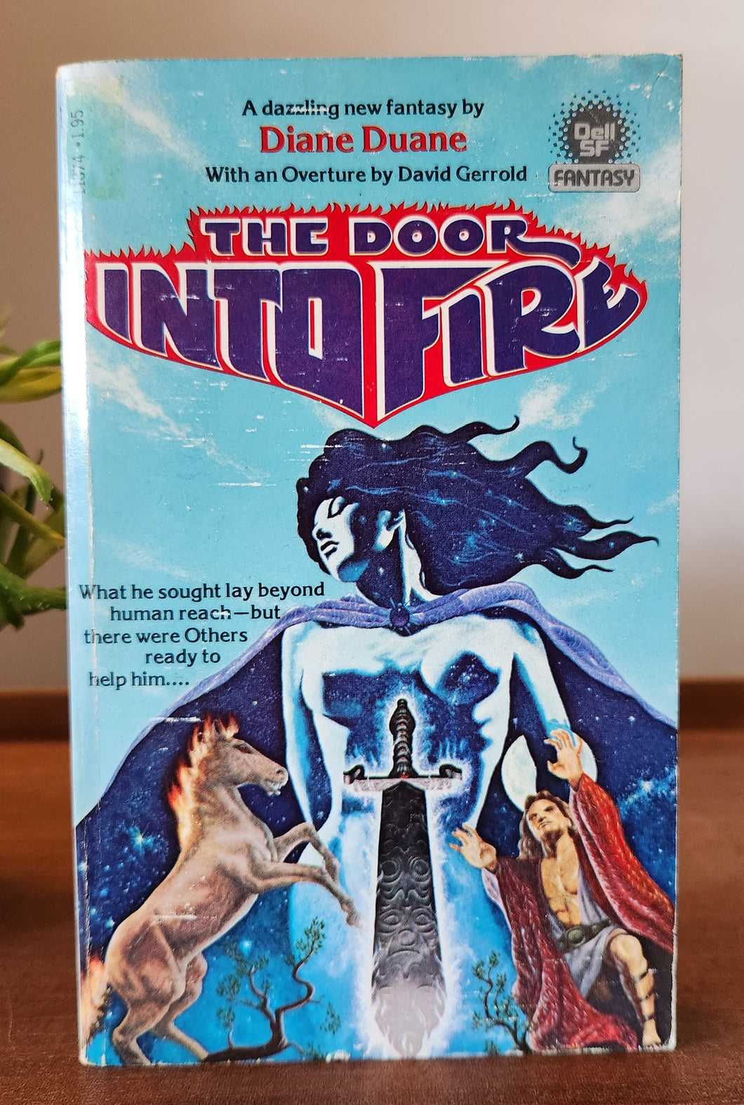 The Door Into Fire by Diane Duane