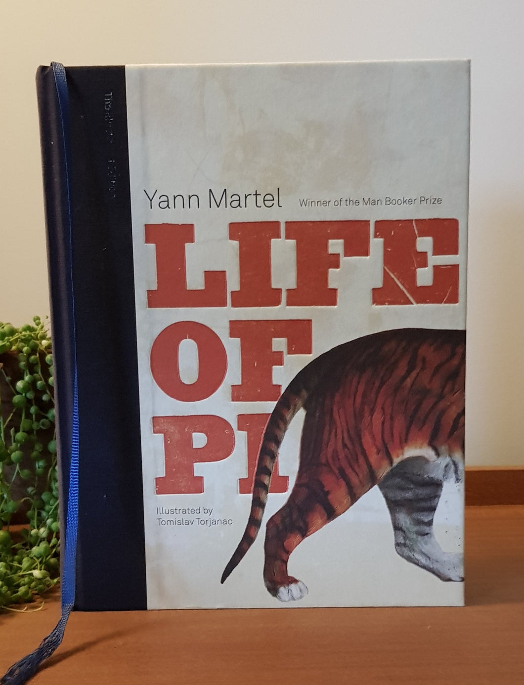 The Life of Pi (Illustrated Edition) by Yannick Martel, Illustrated by Tomislav Torjanac