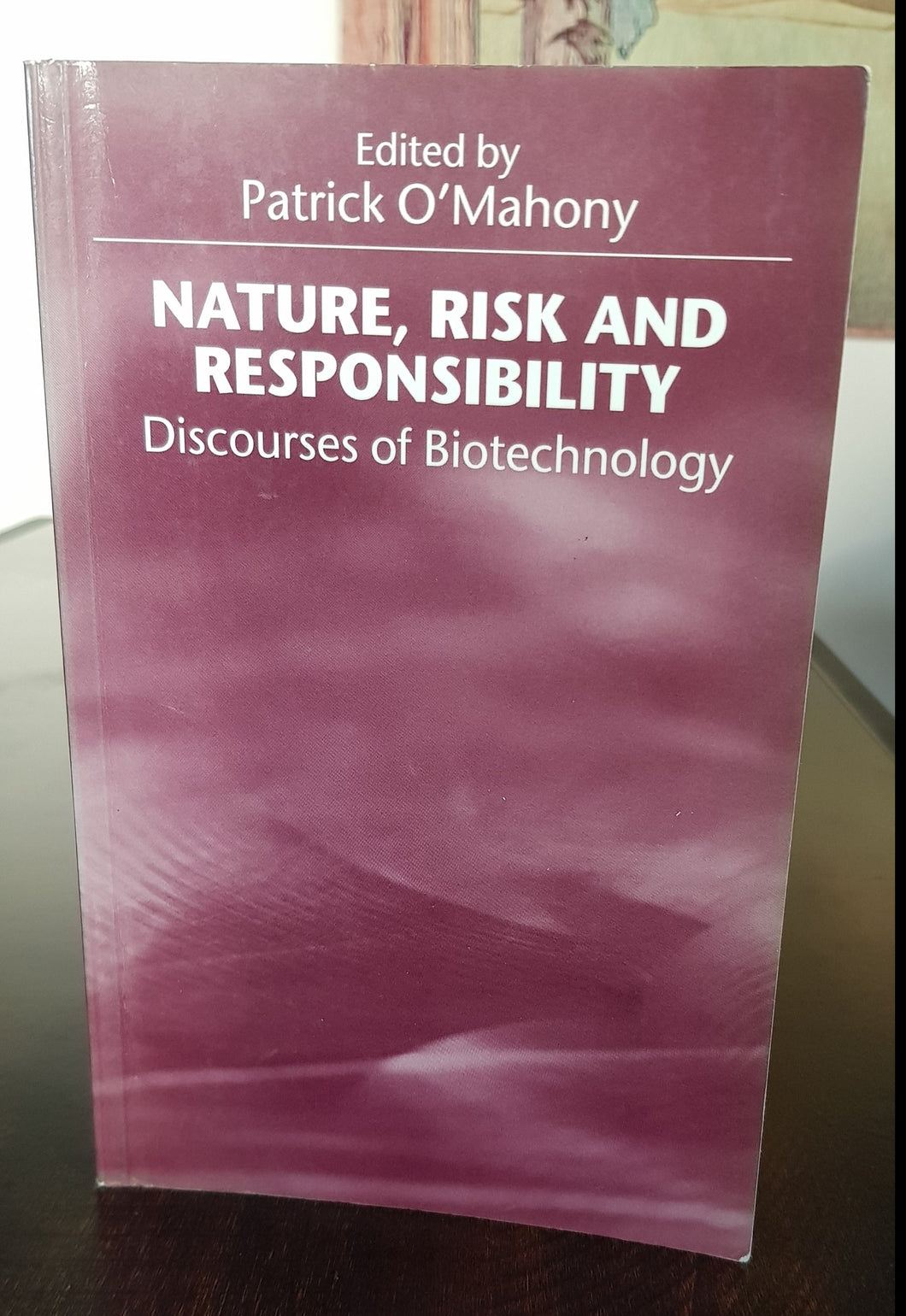 Nature, Risk and Responsibility by Patrick O'Mahony (Editor)